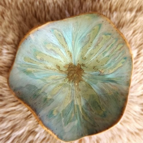 Screenshot_20260313_133437_Gallery